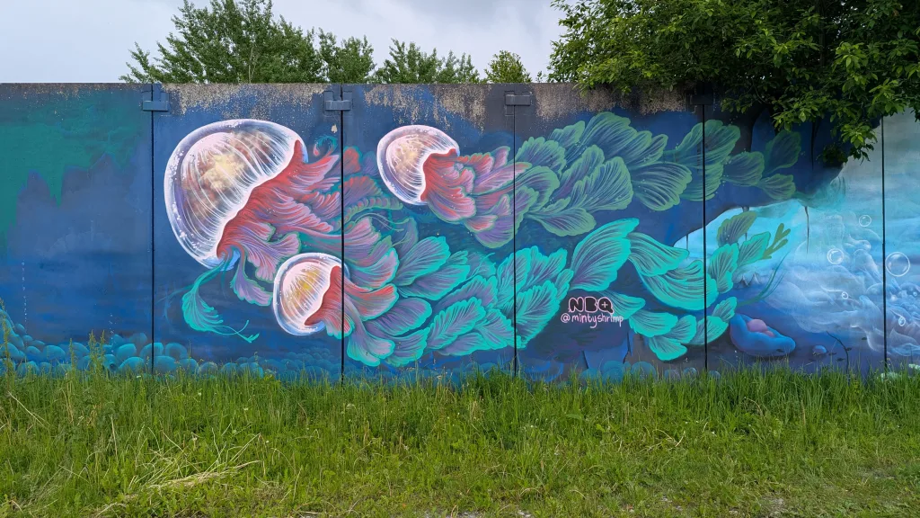 Mural of three jellyfish with feathery pink and teal tentacles on a blue wall, signed NBQ @mintyshrimp