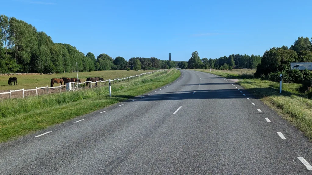 Paved road curving through a rural landscape with horses grazing in a fenced field under a clear blue sky