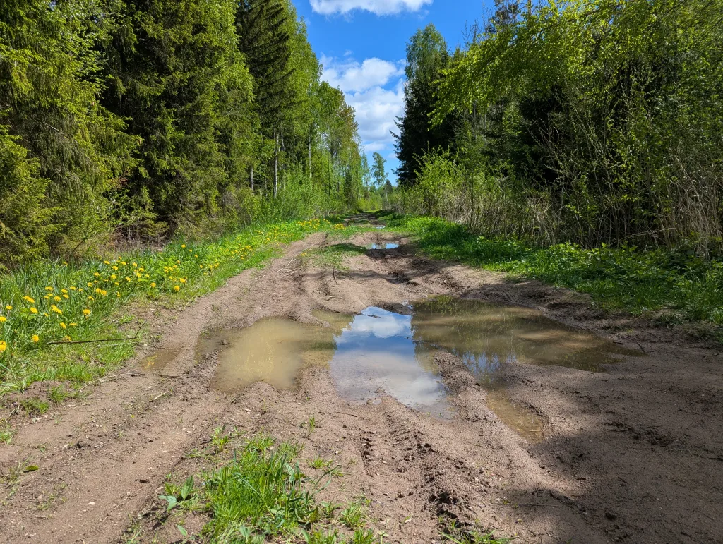 Muddy dirt path through a forest with deep, water-filled ruts reflecting the sky